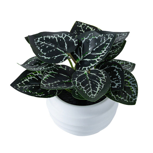 Black & White Nerve Plant (Artificial Fittonia)