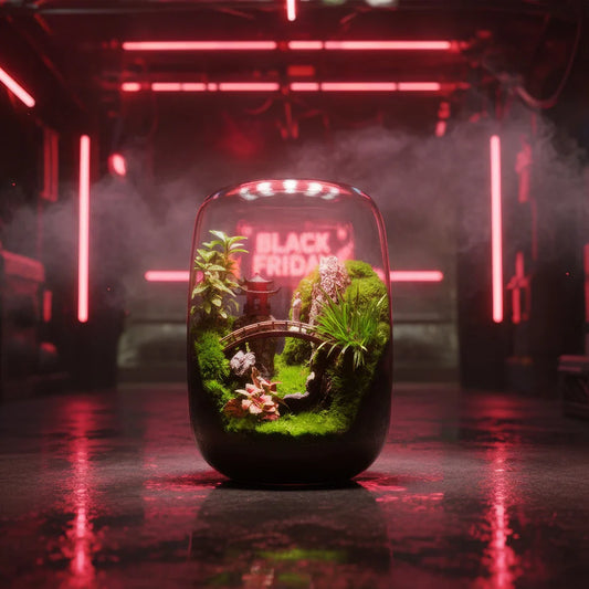 2025 Zen Garden- DIY Eco Terrarium-Free shipping