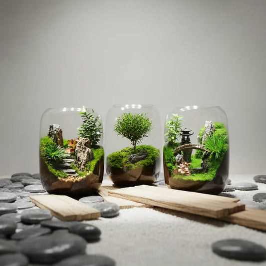2025 Worlds Garden- DIY Eco Terrarium-Free shipping